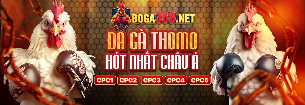 Hướng dẫn dành cho người mới tại Sòng bạc 88ok