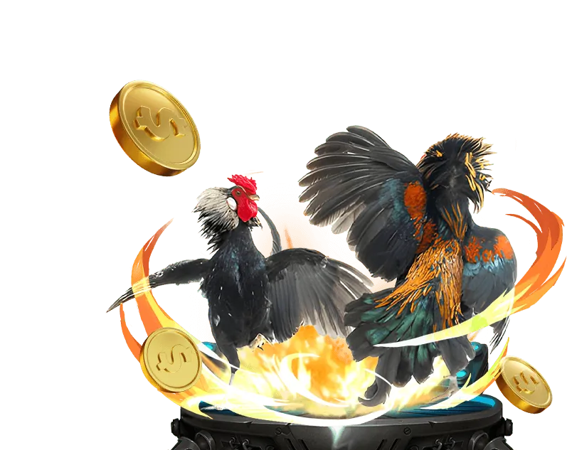 Tổng quan về nền tảng 88ok Casino