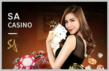 Các giải đấu đá gà